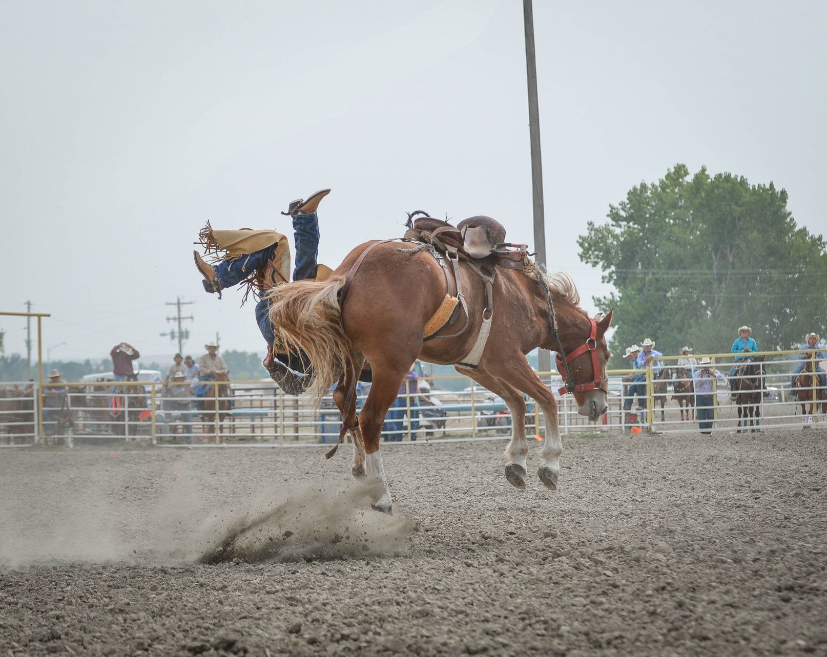 Crow Fair 2017